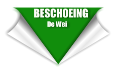 BESCHOEING        De Wei